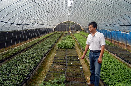 One of five green houses in the Jiangxi province, used to rear 500,000 seedlings for the second phase of the project. Photo: Helge Bruelheide

