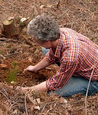 On 19 March 2009, Prof. Dr. Helge Bruelheide planted the first tree for the largest biodiversity experiment worldwide. Photo: Sylvie Herrmann