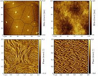 Exciting structures: semi-crystalline polymers can be seen here in thin films on various substrates. 
Image: Institute of Physics
