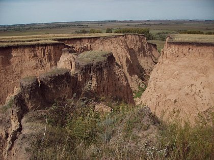Gully erosion is evidence of landscape destruction in the agricultural steppes of Southern Siberia (Photo: Manfred Frhauf)