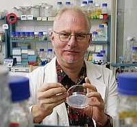 Prof. Dietrich Nies at work in his lab, photo: Maike Glckner