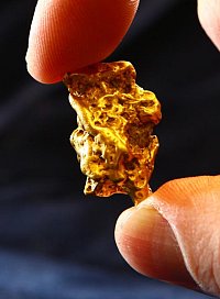 A natural gold nugget brought by Prof. Gregor Borg from eastern Congo, photo: Maike Glckner