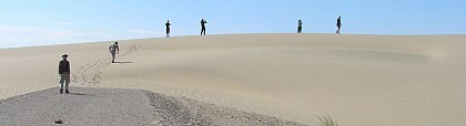 Sand dunes bury the old railway line from Aus to Lderitz Bay and prevent new tracks from being laid. 
Photo: Manuela Frotzscher
