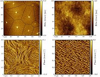 Exciting structures: semi-crystalline polymers can be seen here in thin films on various substrates.
Image: Institute of Physics