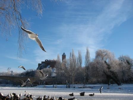 winter time in Halle winter time in Halle