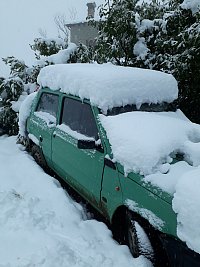 Geiler, Paul, Erziehungswissenschaften,
Panda im Schnee
ERASMUS Aufenthalt von 09/2017 bis 06/2018 an der Universit di Bologna, Italien 