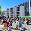 zur website
